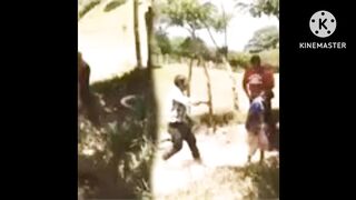 Video from Sabanilla Chiapas: viral leaked clip of the farmers on Telegram and Twitter📹📹