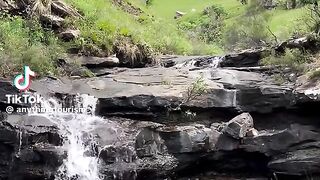 fresh waters