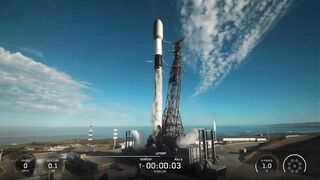 space X