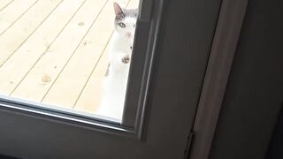 Thanks Human, Your Job Is Done!