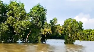 ঘুকসির বিল নওগাঁ