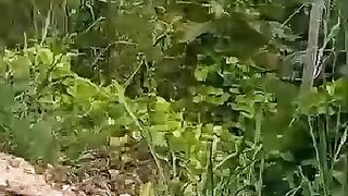 Hillrun