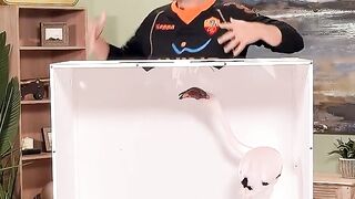 🐯 Guess The Animal Challenge! Only 1% Can Get Them All | MrBeast Style