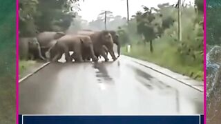 terima kasih 2