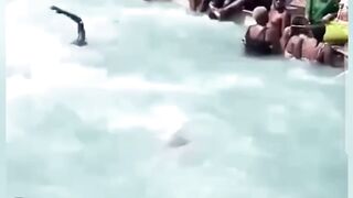 Try Not To Laugh Challenge 10