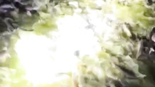Ngasih makan lele malam hari itu WAJIB bagi saya