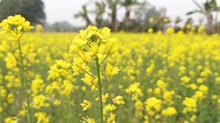 Nature ❤️ 2