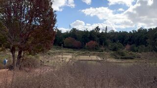 The beauty of nature 3