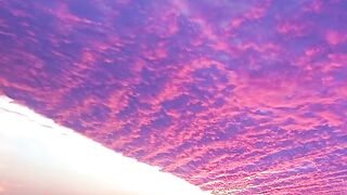 Beautiful scen of nature