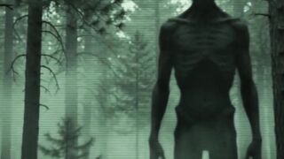 What Did This Trail Camera See at 3 AM?