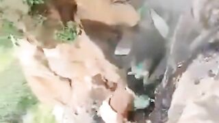Priest died after jumping off a cliff