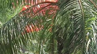 Kebakaran 11