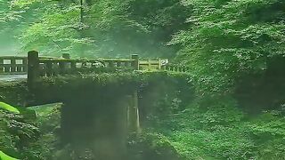 Nature's Peaceful Retreat