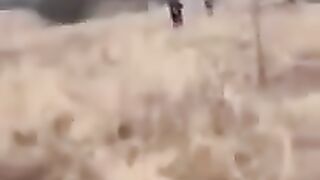 Тероборона полює на окупантів Video