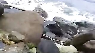 Sea shore 4