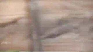 video viral banyuwangi yank wes yank Full Original XXX VIDEOS. ON HD!HQx1024P.