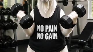 goat exercise