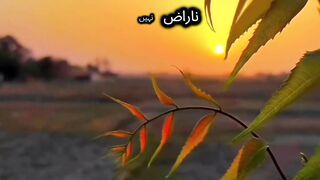 Quotes Status by Shaista Adil 22