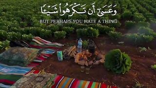 Tilawat e Quran Majeed 115