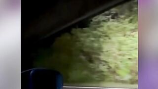 Bikin Nyesek! Induk Gajah Nolak Pergi, Setia Jaga Jasad Anaknya yang Mati Tertabrak Mobil 🥺💔