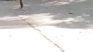 Cricket with little boys