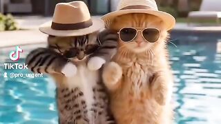 Cat happy 3