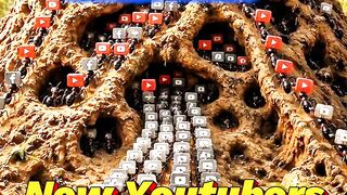Strugling youtubers reality