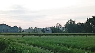 Nature Calm Sunset Landscape in Rural Indonesia