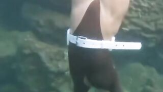 HOST AMERIKA SEXY PART 180