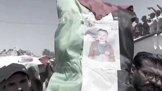 Palestine 13