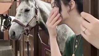 No video description