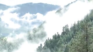 Beautiful morning 7