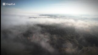 La naturaleza viva ( conciencia)