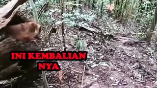 otw meluncur baby🤣