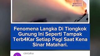 303NEWS 46