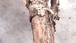 DIY Natural 2