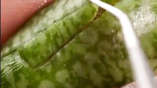 Food DIY #food #diy #shorts 7