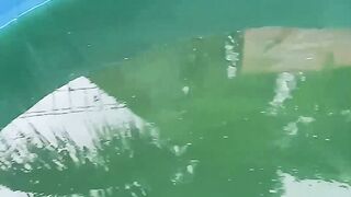 Water Conditions Ready for Spreading Catfish Seeds