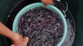 Tips to prevent new seeds from getting stressed easily