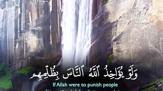 Quran paak Tilawat 35