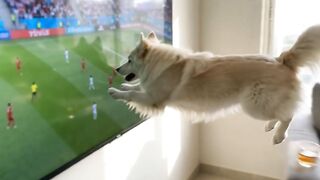 Lucky is jumping to score Goal to opposition