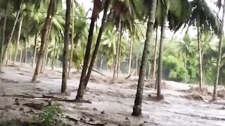 Flood 2026