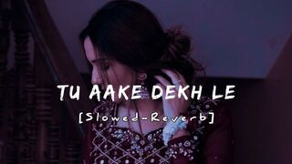 TU AAKE DEKH LE | Lofi Version | Slowed-Reverb | Lofi Spark 💘✨