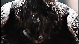 animal fights