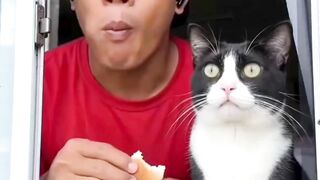 untung ada helm penyelamat🤣