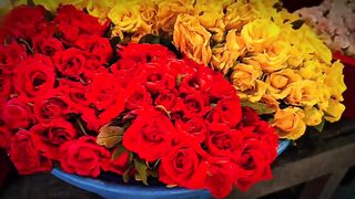 🌹🌹🥀