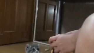 The Most Polite Cats You'll Ever See!