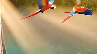 Animals Life 2
