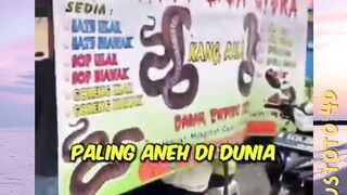3 sate unik paling aneh di dunia!! Nomor 3 dari indonesia! versi PLUSTOTO4D