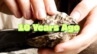 She Saved A Turtle 10 Years Ago! Today Tt Returned With A Lobster Surprise!